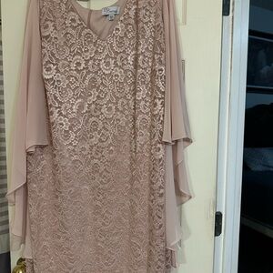 BCBGMaxAzria Blush Lace Long Sleeve Dress